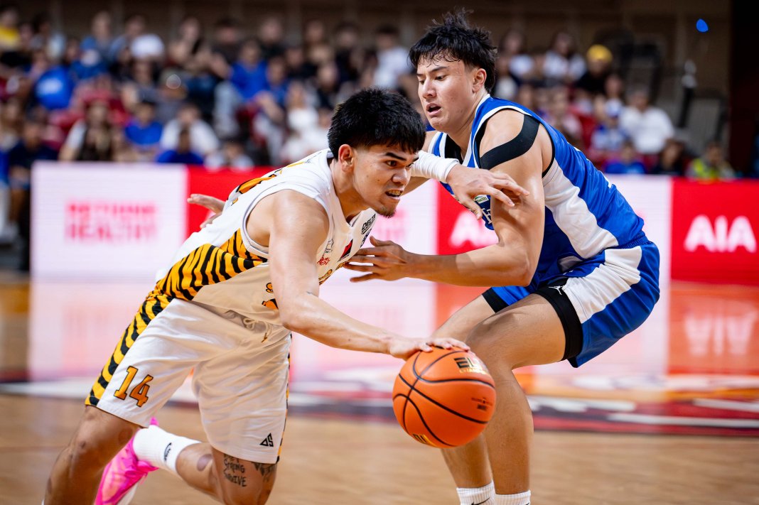 Growling Tigers